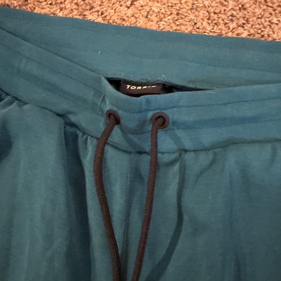 Torrid Teal Joggers - Picture 4 of 5